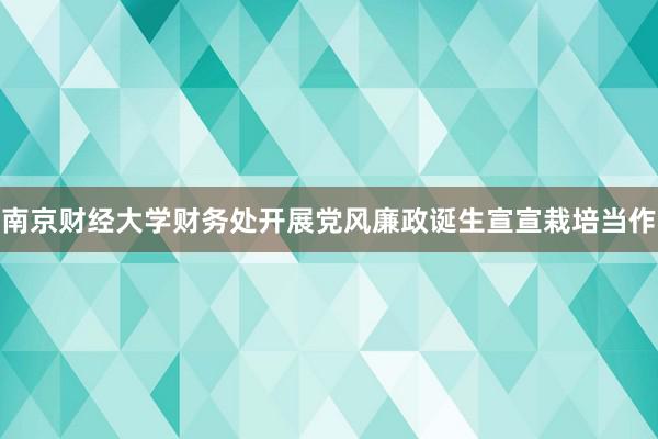 南京财经大学财务处开展党风廉政诞生宣宣栽培当作
