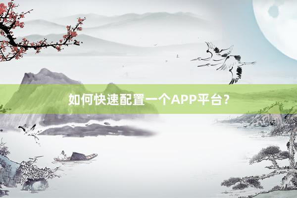 如何快速配置一个APP平台？
