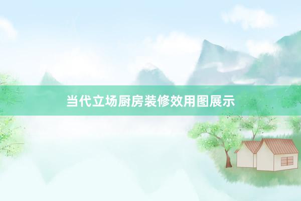 当代立场厨房装修效用图展示