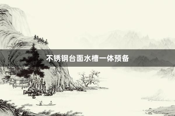 不锈钢台面水槽一体预备